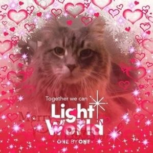 Meet your Posher, Karlene